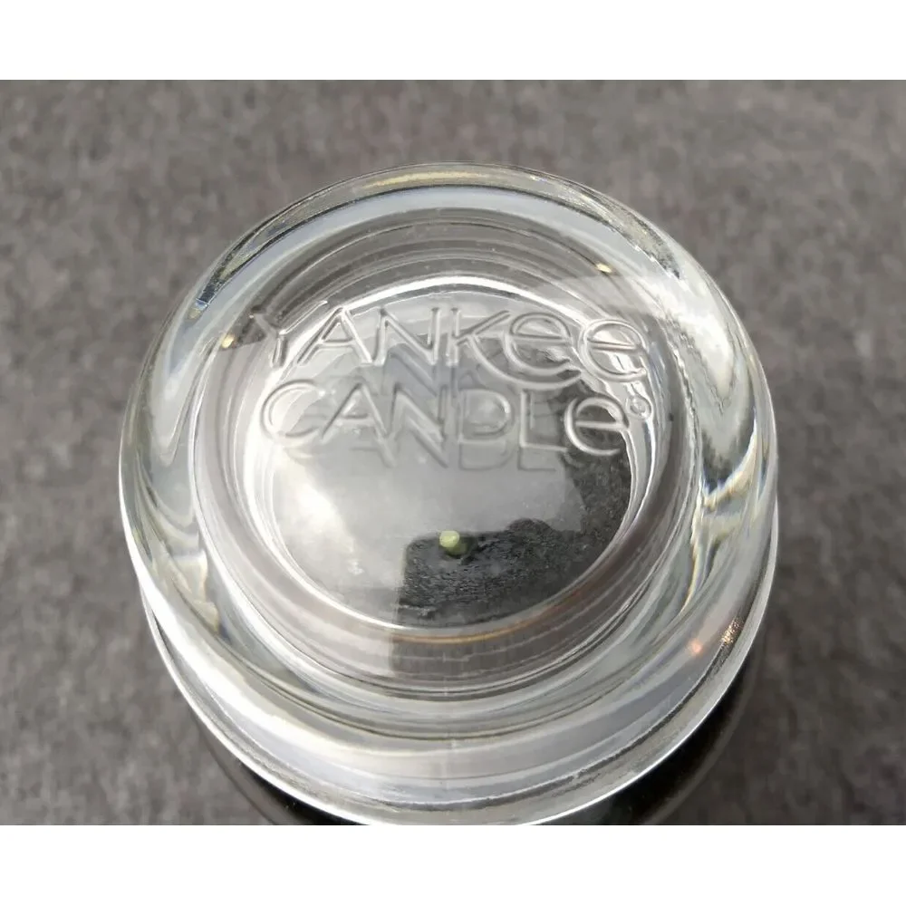 Yankee Candle BALSAM & CEDAR Large 22oz Classic Jar Single Wick Made in‎ USA NEW
